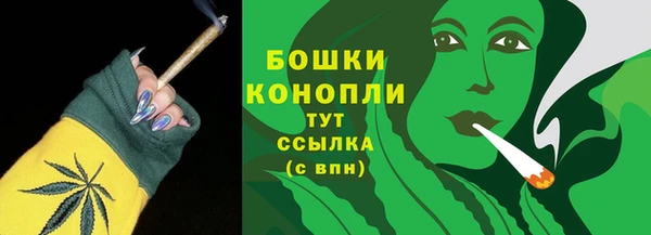 крисы Арсеньев