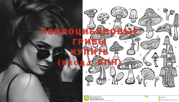 крисы Арсеньев