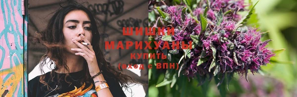 крисы Арсеньев