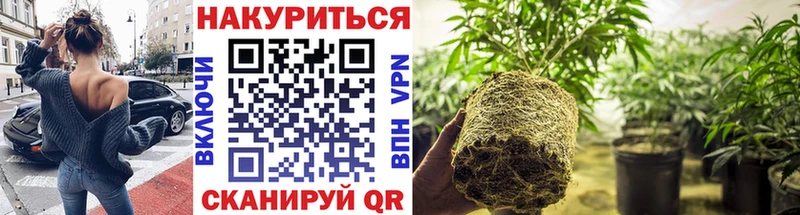 цены   Ахтырский  маркетплейс официальный сайт  Бошки марихуана OG Kush 